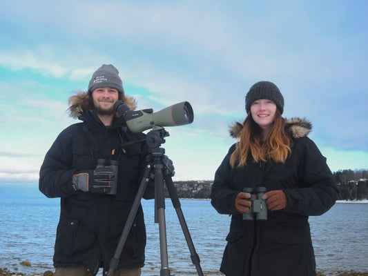 GyrKite Birding Tours