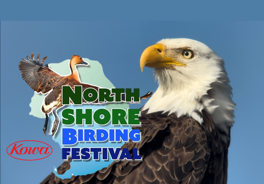 North Shore Birding Festival