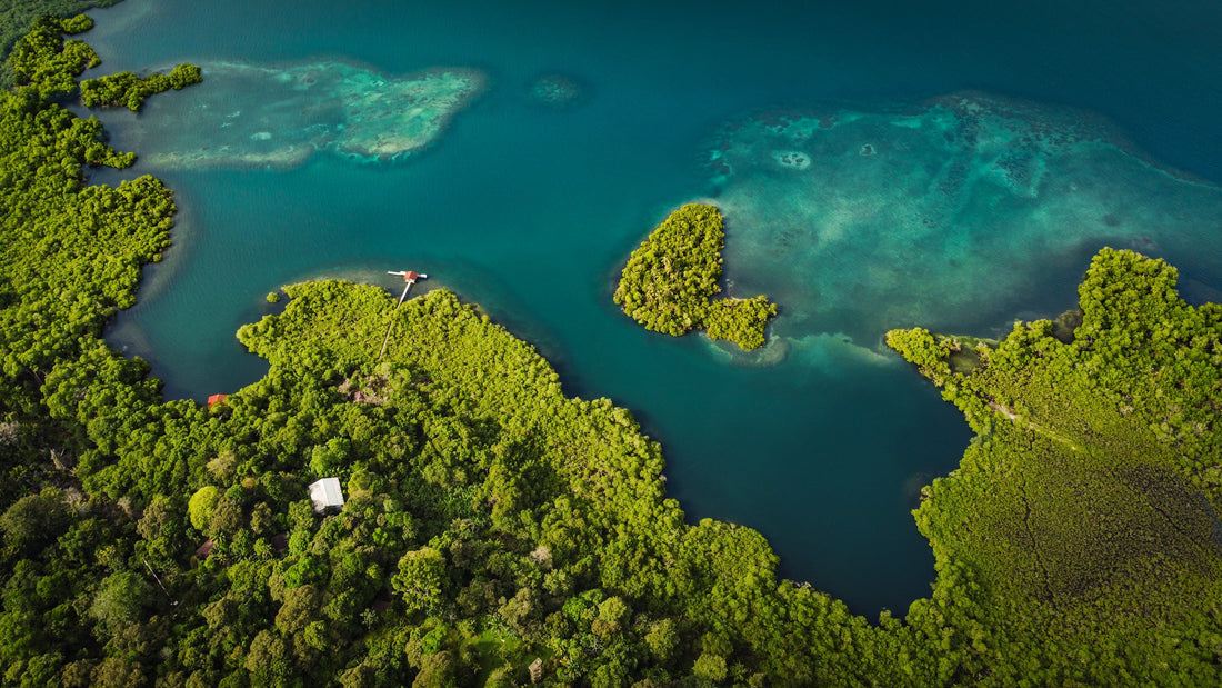 Tranquilo Bay Eco Adventure Lodge