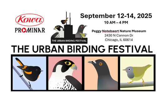 Urban Birding Festival