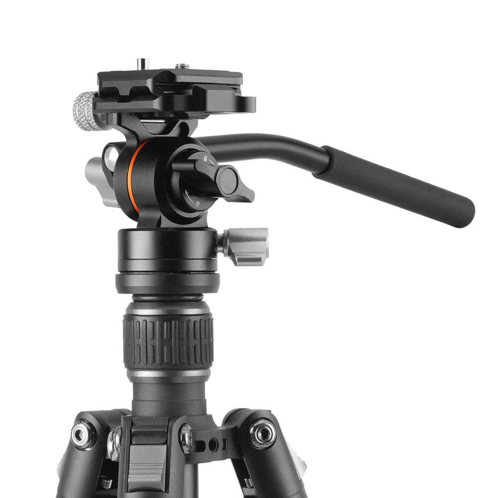 Vanguard VESTA GO 264CV12 Carbon Fiber Tripod with Video Head