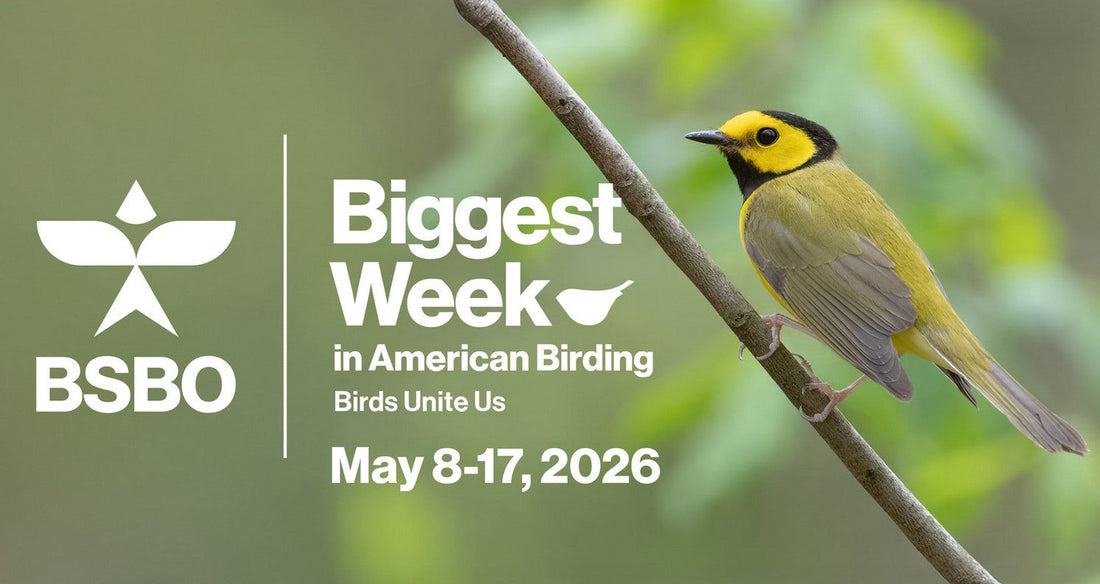 Biggest Week in American Birding