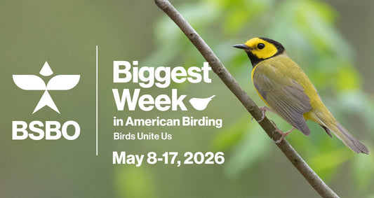 Biggest Week in American Birding