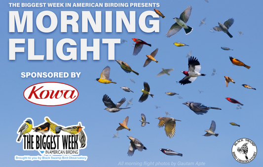 Biggest Week The Event Exchange – Kowa Sporting Optics