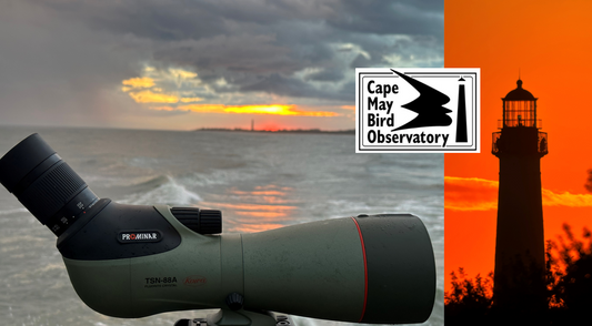 Cape May Bird Observatory Optics Sale