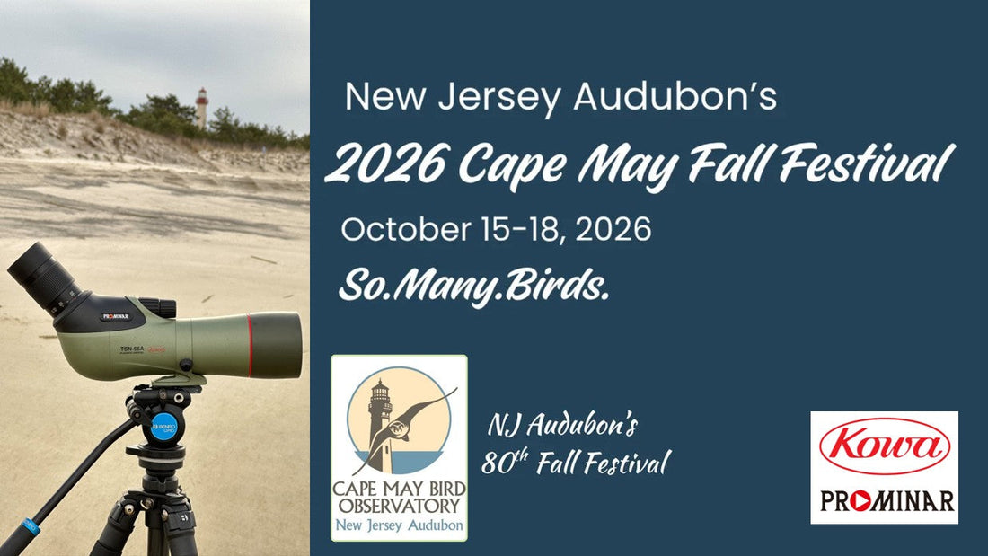 Cape May Fall Festival