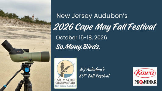 Cape May Fall Festival