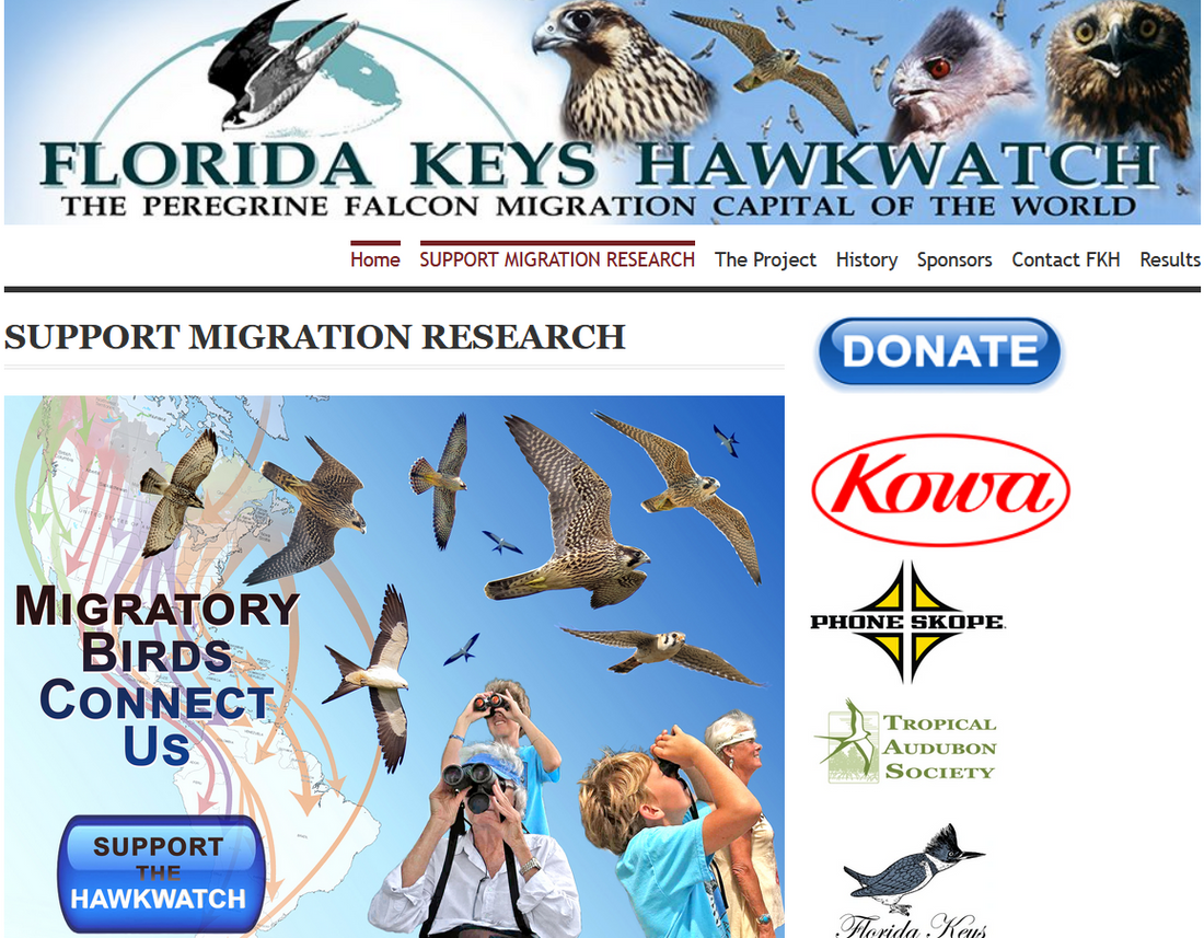 Peregrine Days Celebration with Florida Keys Hawkwatch