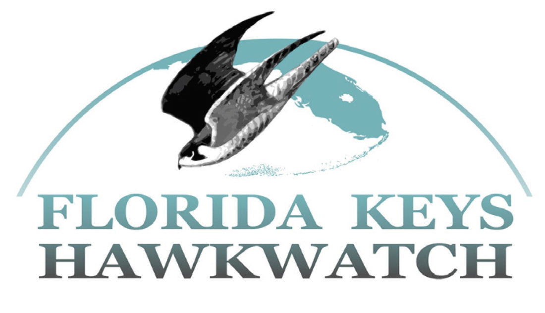 Florida Keys Hawkwatch