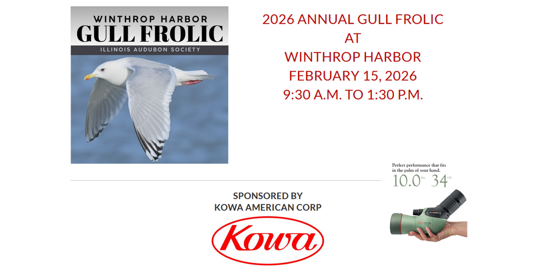 2026 Annual Gull Frolic at Winthrop Harbor