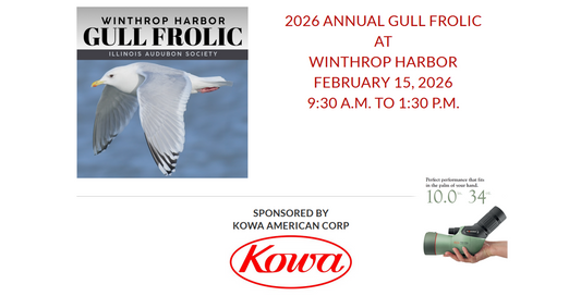 2026 Annual Gull Frolic at Winthrop Harbor