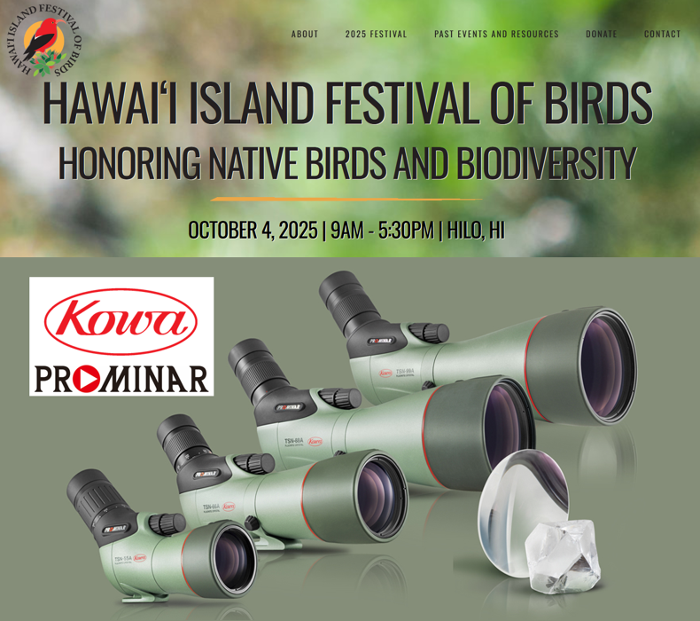 Hawaii Island Festival of Birds