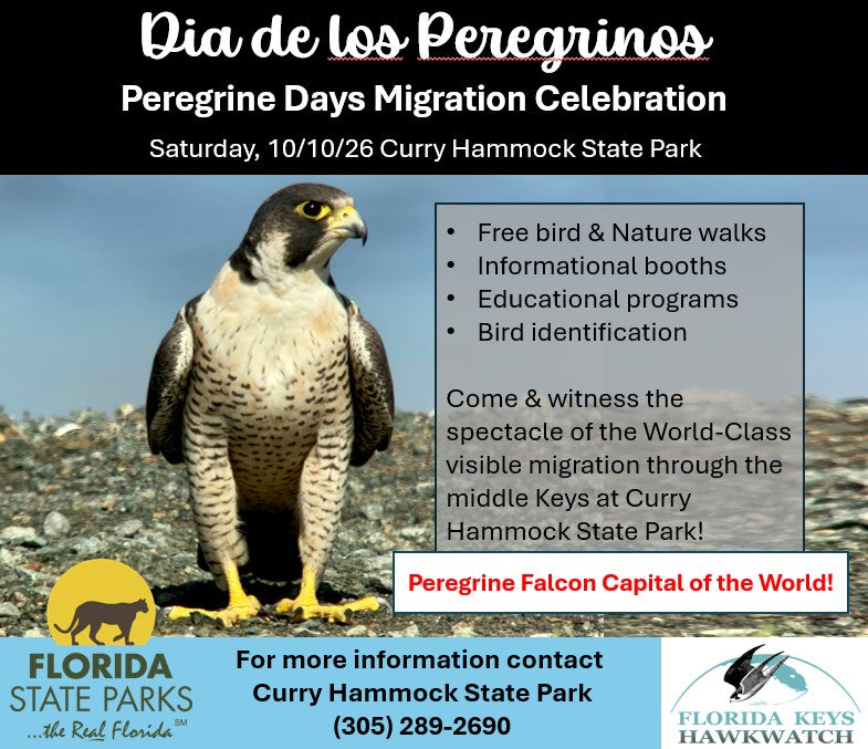 Peregrine Days Migration Celebration