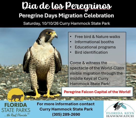 Peregrine Days Migration Celebration