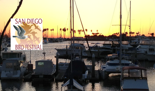 San Diego Bird Festival