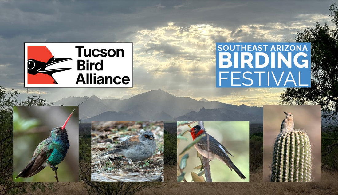 Southeast Arizona Birding Festival