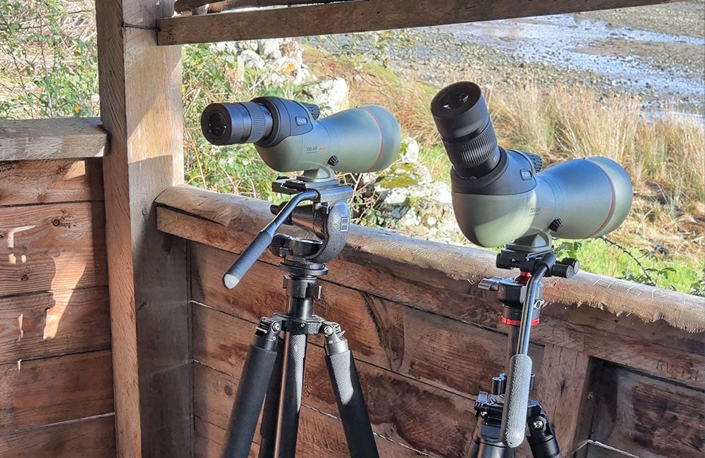 Straight vs Angled Spotting Scopes: Which Should You Choose?