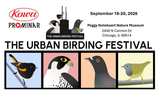 Urban Birding Festival