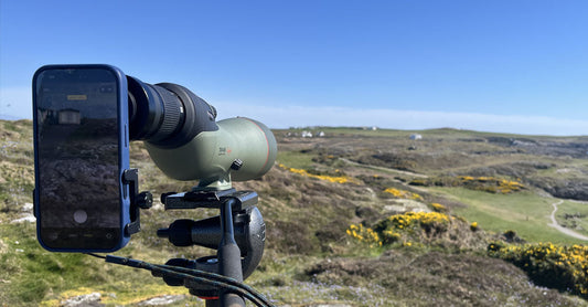 How Far Can You See with a Spotting Scope, and Still Identify a Bird?