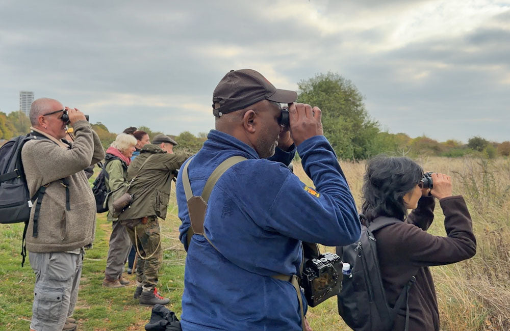 Birding Where You Least Expect It