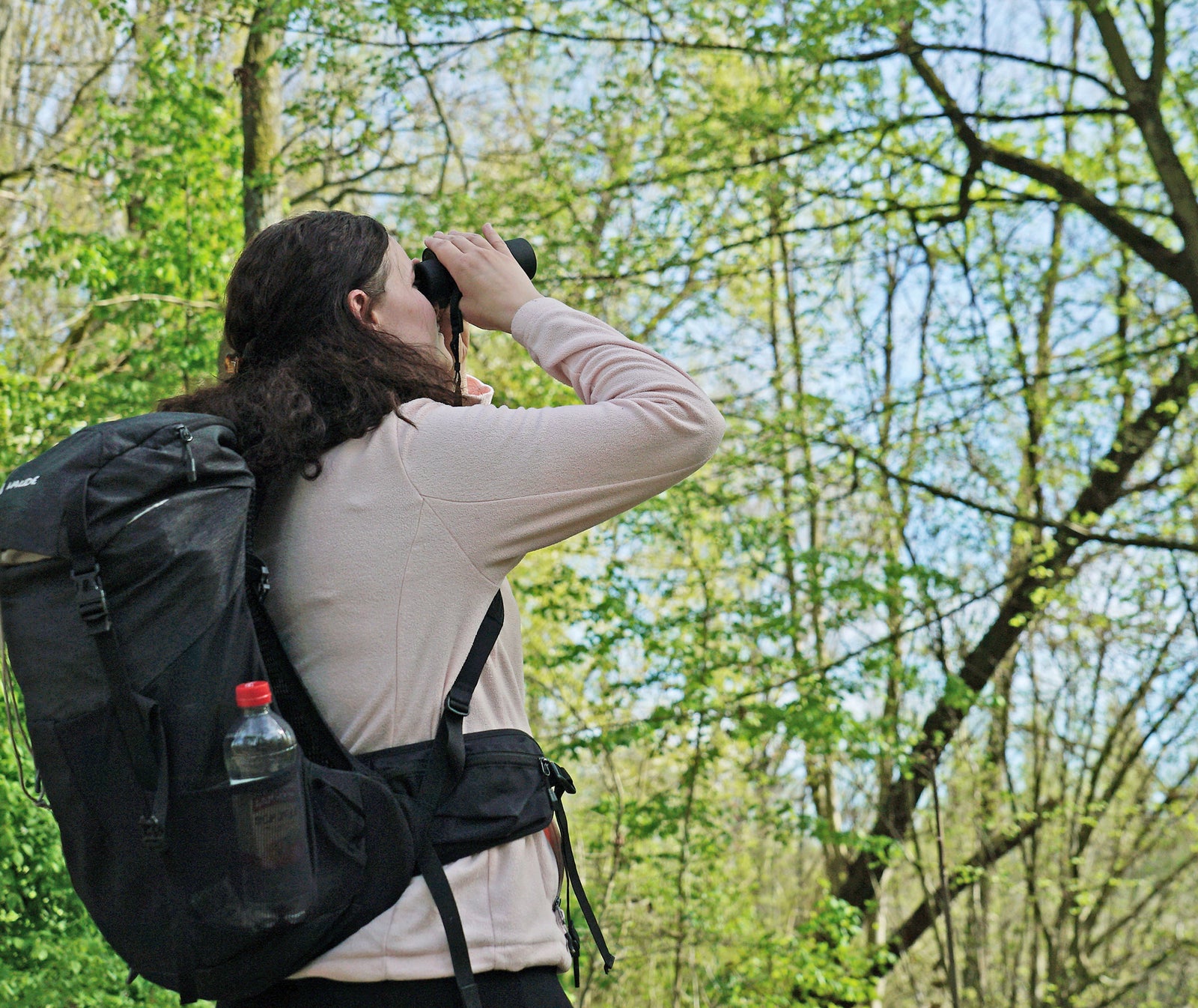 Kowa SV III binoculars resting on an outdoor bench beside a backpack in damp woodland conditions